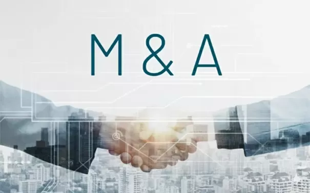 Cross Border M&A, Reorganisation Advisory